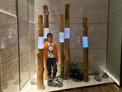 -深铁皇冠假日酒店·大堂吧