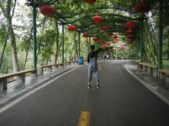 -石家庄市动物园