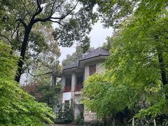 -南山植物园