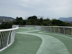-飞凤山奥体公园