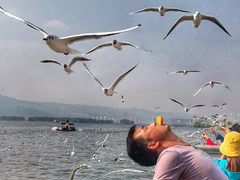 -滇池海埂公园
