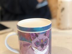 -飞行喵MR PILOT|猫舍·猫咖(静安大融城店)