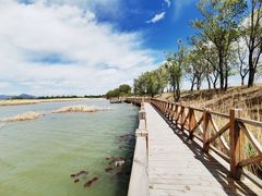 -野鸭湖国家湿地公园