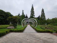 -昆山城市生态森林公园