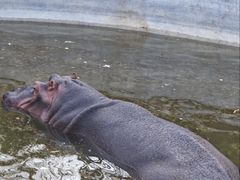 -济南野生动物世界