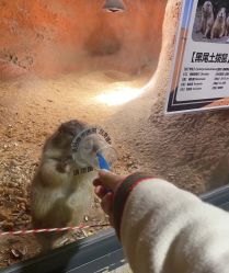 点击看大图 -酷嗒动物文化乐园(cutezoo西溪乐天城店)