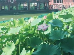 -湘湖大院(越王路店)