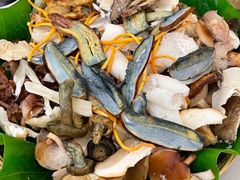 -野菌园·野生菌火锅首创第一家(关兴路总店)