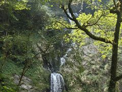 -石台牯牛降景区