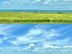 -青海湖国家重点风景名胜区