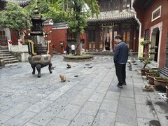 -长春观