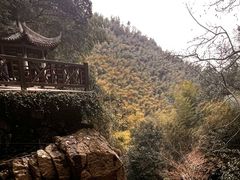 -莫干山风景区
