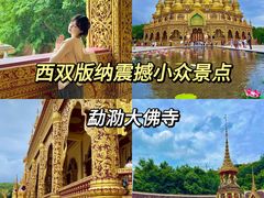 -西双版纳勐泐文化旅游区