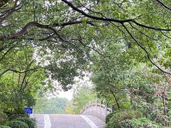 -同里国家湿地公园