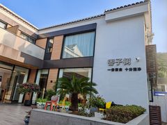 -枣子树·素食餐厅(普陀山店)