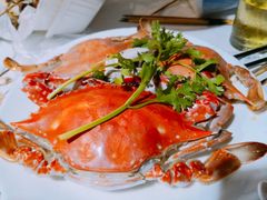 梭子蟹-阿尔法海鲜排档(爱琴海店)