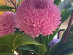 -欣旺·迎宾楼·百年无锡菜