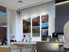 -SAANCI山池咖啡(海上世界文化艺术中心店)