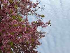 -梁溪河畔·吉府花园(南长街南下塘店)