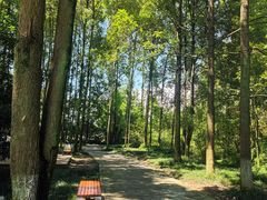 -桤木河湿地公园