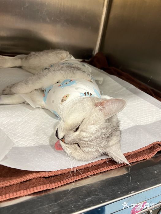 萌兽医馆·犬猫专科·眼科中心·宠物医院(朝阳门分院)图片