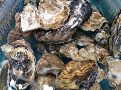 肥美的大牡蛎-蓝珊甄选海鲜自助·火锅大排档(近阿那亚店)