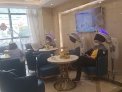 -碧莲盛·不剃发植发