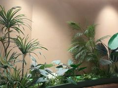 -奈雪的茶(广州万菱汇PRO店)