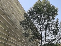 -中国宣纸文化园