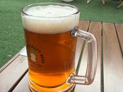 -麦落精酿啤酒餐吧(先农大院店)