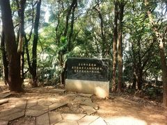 -马王堆汉墓遗址