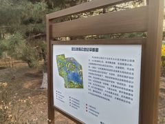 -大兴滨河森林公园