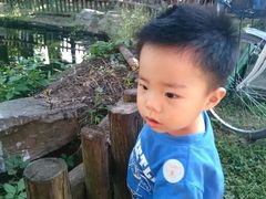 android_upload_pic-旺山景区