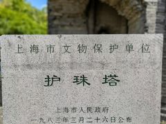 -上海佘山国家森林公园天马山园