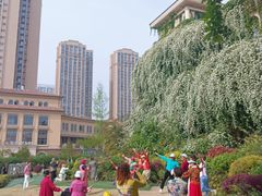 -府河摄影公园