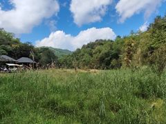 -普洱太阳河森林公园
