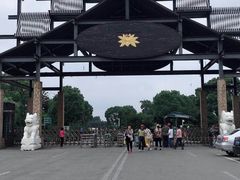 -荷塘月色湿地公园·向阳花洲