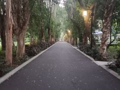 -南宁南湖公园