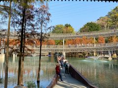 -梅峰山地公园