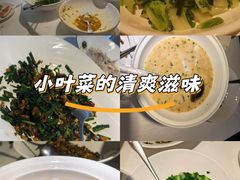 -院里寻菜·精致庭院菜(观沙岭店)