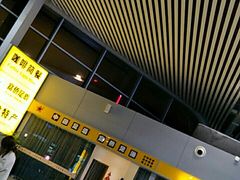 -合肥新桥国际机场-航站楼