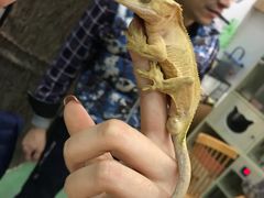 -藦茜花园宠物主题亲子互动体验馆(国顺东路店)