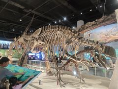 -国家自然博物馆