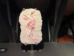 -现代汽车文化中心 Hyundai Motorstudio Beijing