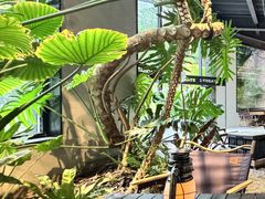 -J Create城市露营咖啡·简餐·宠物(上海动物园店)