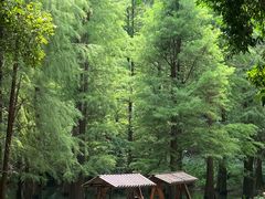 -广州市帽峰山景区