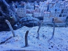 -暹罗海洋世界