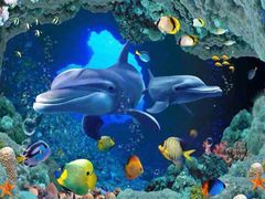 -华夏文旅海洋公园