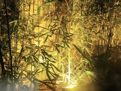 -竹雨堂创意中国菜(裕华店)