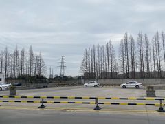 -光明驾校·学车·陪驾(川沙店)